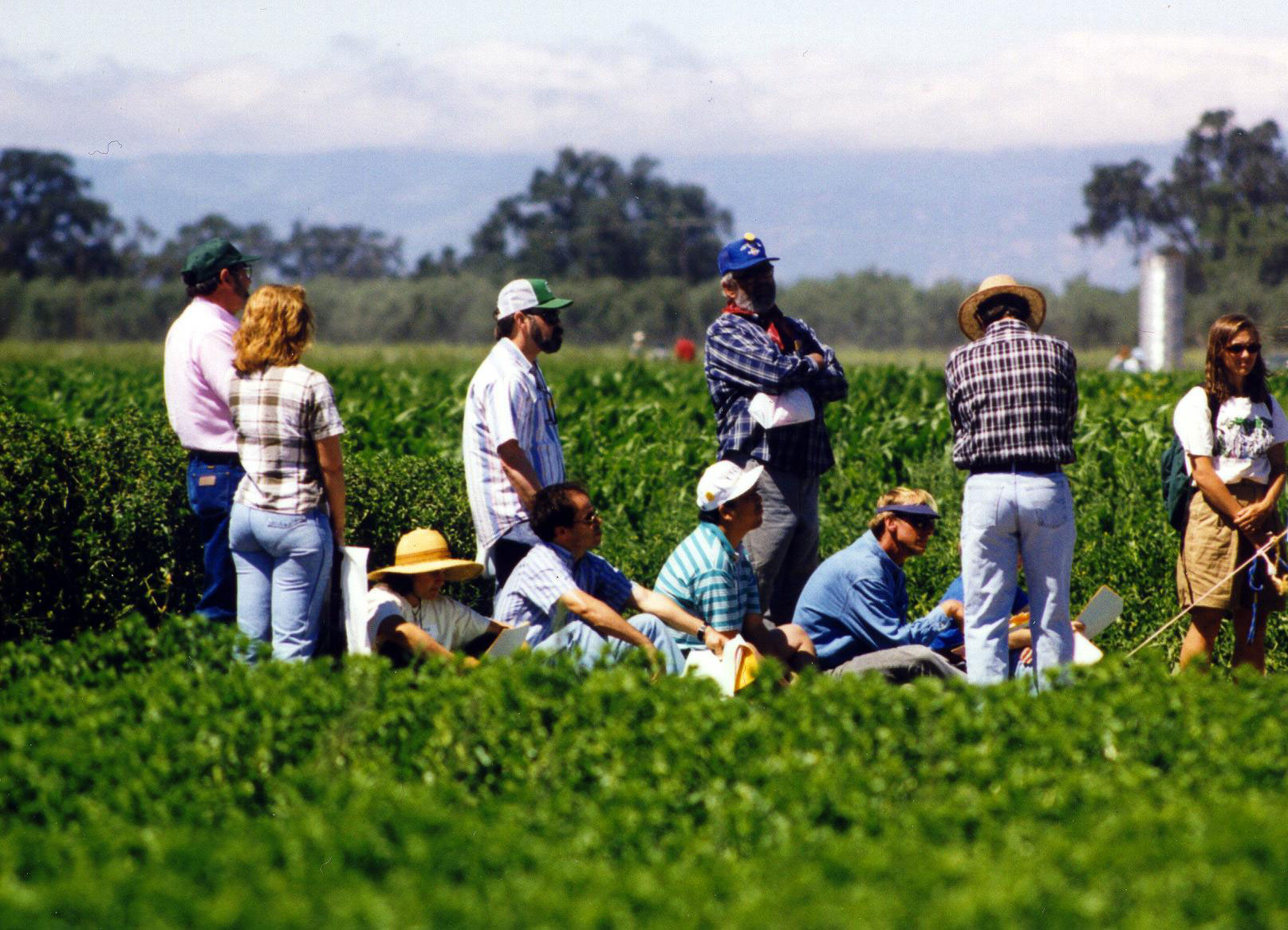 group working in field