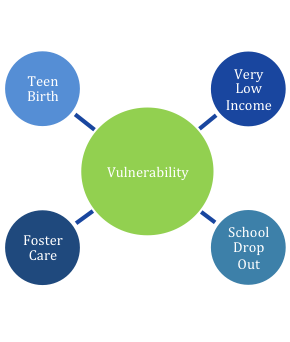 Youth Vulnerability Index graphical representation